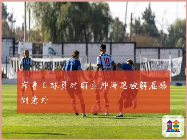 布鲁日球员对前主帅海恩被解雇感到意外