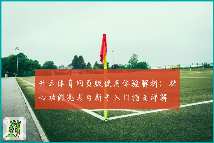 开云体育网页版使用体验解析：核心功能亮点与新手入门指南详解